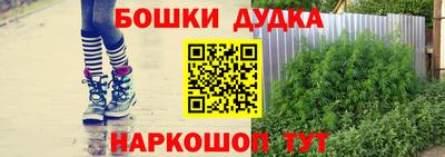 стафф Будённовск