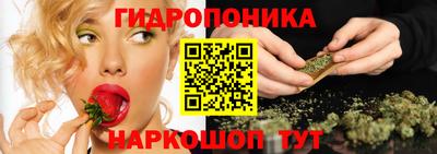 стафф Будённовск