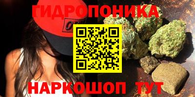 стафф Будённовск