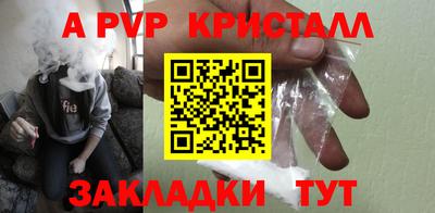 стафф Будённовск