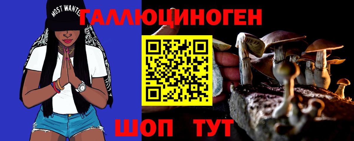 Псилоцибиновые грибы GOLDEN TEACHER  цена наркотик  Сафоново  Вход с VPN 